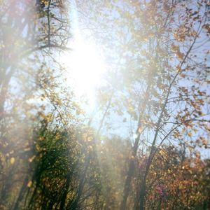 Meet your Posher, Mya